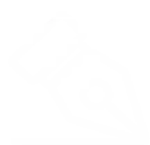 Icon 4